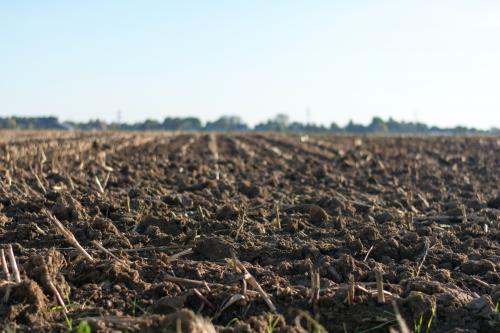 Preparing the Ground for Healthy Soil