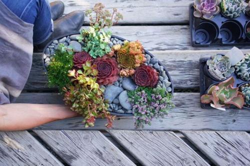 Container Gardening for Four Seasons